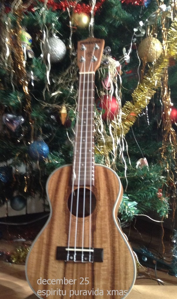 puravida.xmas