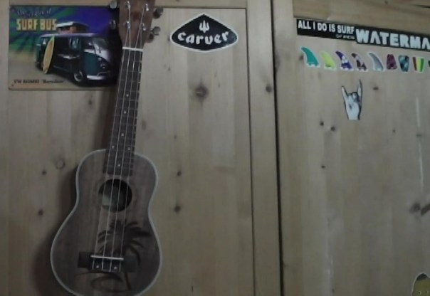 puravida.ukesnapShot(12)