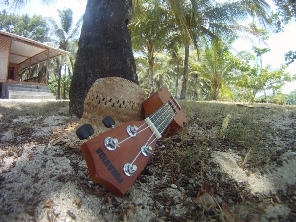 Espíritu Puravida guitar ukes