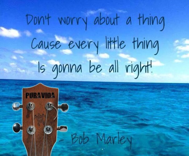 dontworry03_703871216406482_2908290467718587637_n